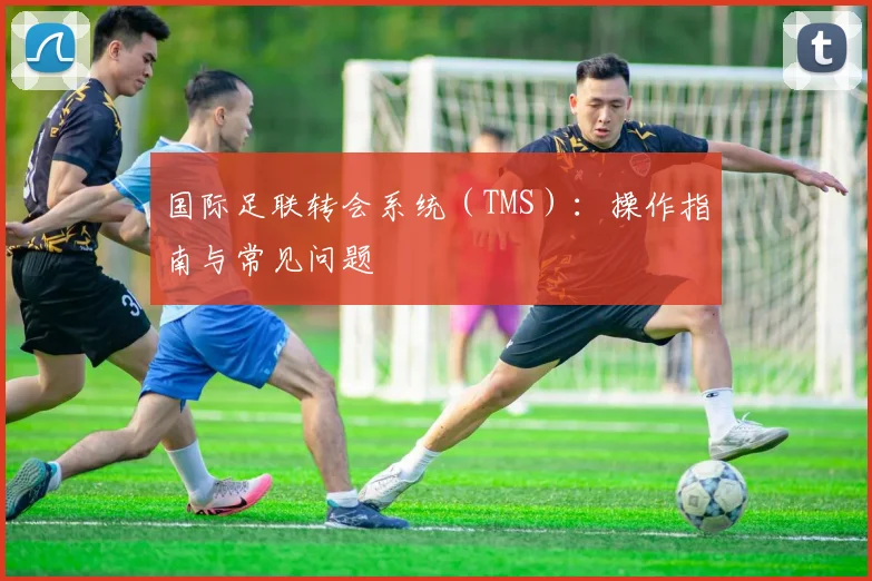 国际足联转会系统（TMS）：操作指南与常见问题