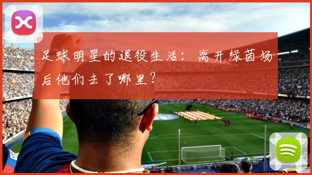 足球明星的退役生活：离开绿茵场后他们去了哪里？