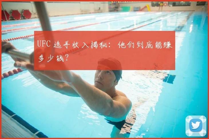 UFC 选手收入揭秘：他们到底能赚多少钱？
